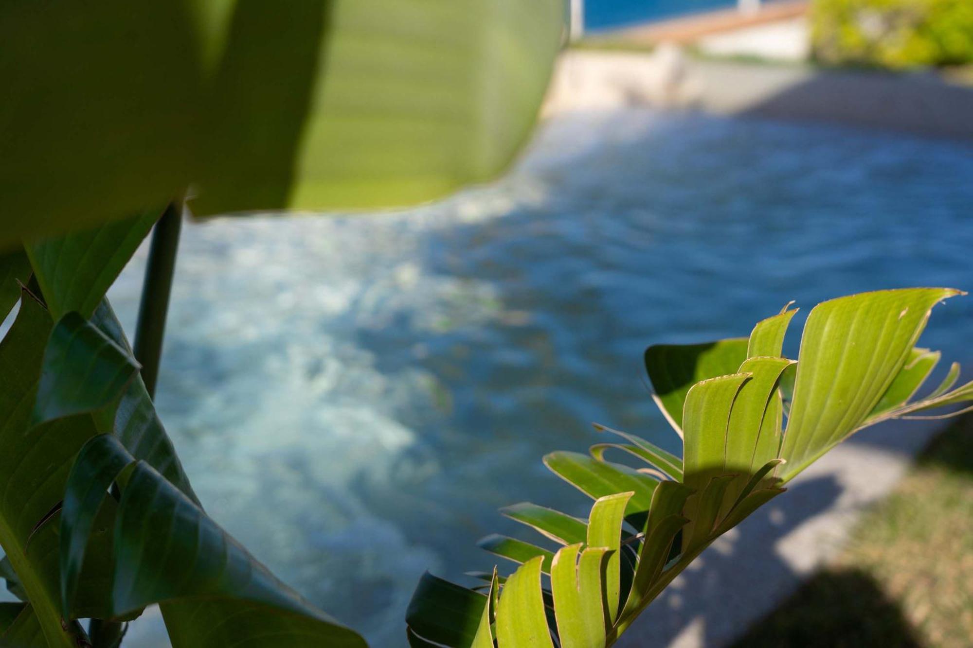 Villa Zagara Garden Spectacular Sea View In Taormina Ngoại thất bức ảnh